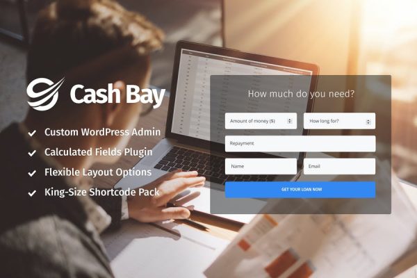 Cash Bay Loan Credit Money WP Theme